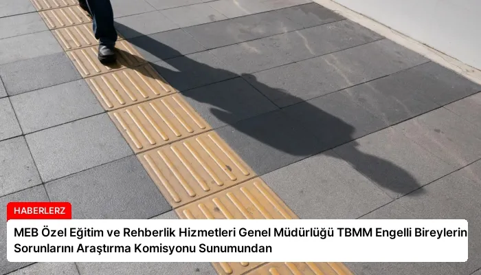 MEB Özel Eğitim ve Rehberlik Hizmetleri Genel Müdürlüğü TBMM Engelli Bireylerin Sorunlarını Araştırma Komisyonu Sunumundan