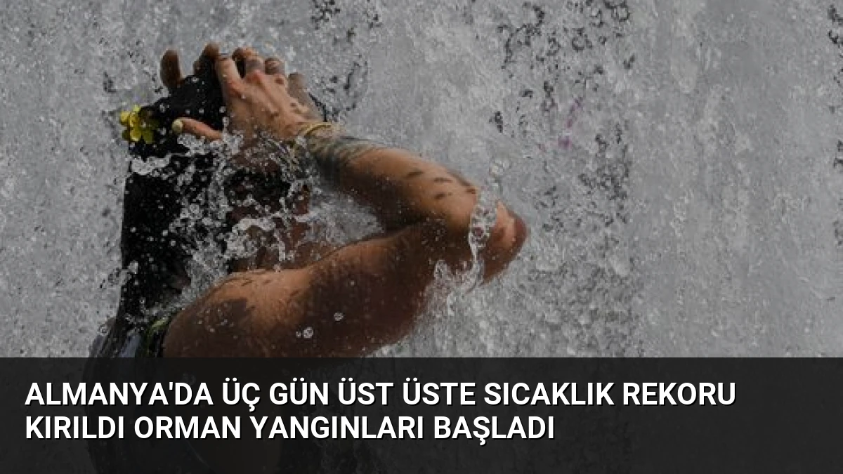 Almanya’da Üç Gün Üst Üste Sıcaklık Rekoru Kırıldı Orman Yangınları Başladı