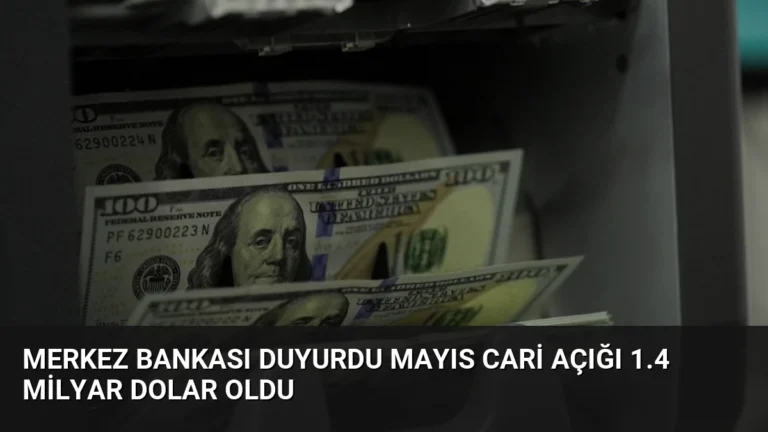 Merkez Bankası Duyurdu Mayıs Cari Açığı 1.4 Milyar Dolar Oldu