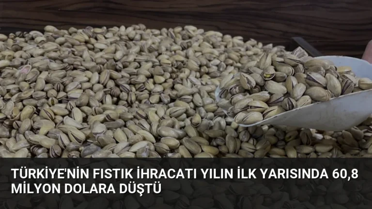 Türkiye’nin Fıstık İhracatı Yılın İlk Yarısında 60,8 Milyon Dolara Düştü