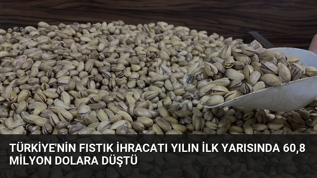 Türkiye’nin Fıstık İhracatı Yılın İlk Yarısında 60,8 Milyon Dolara Düştü