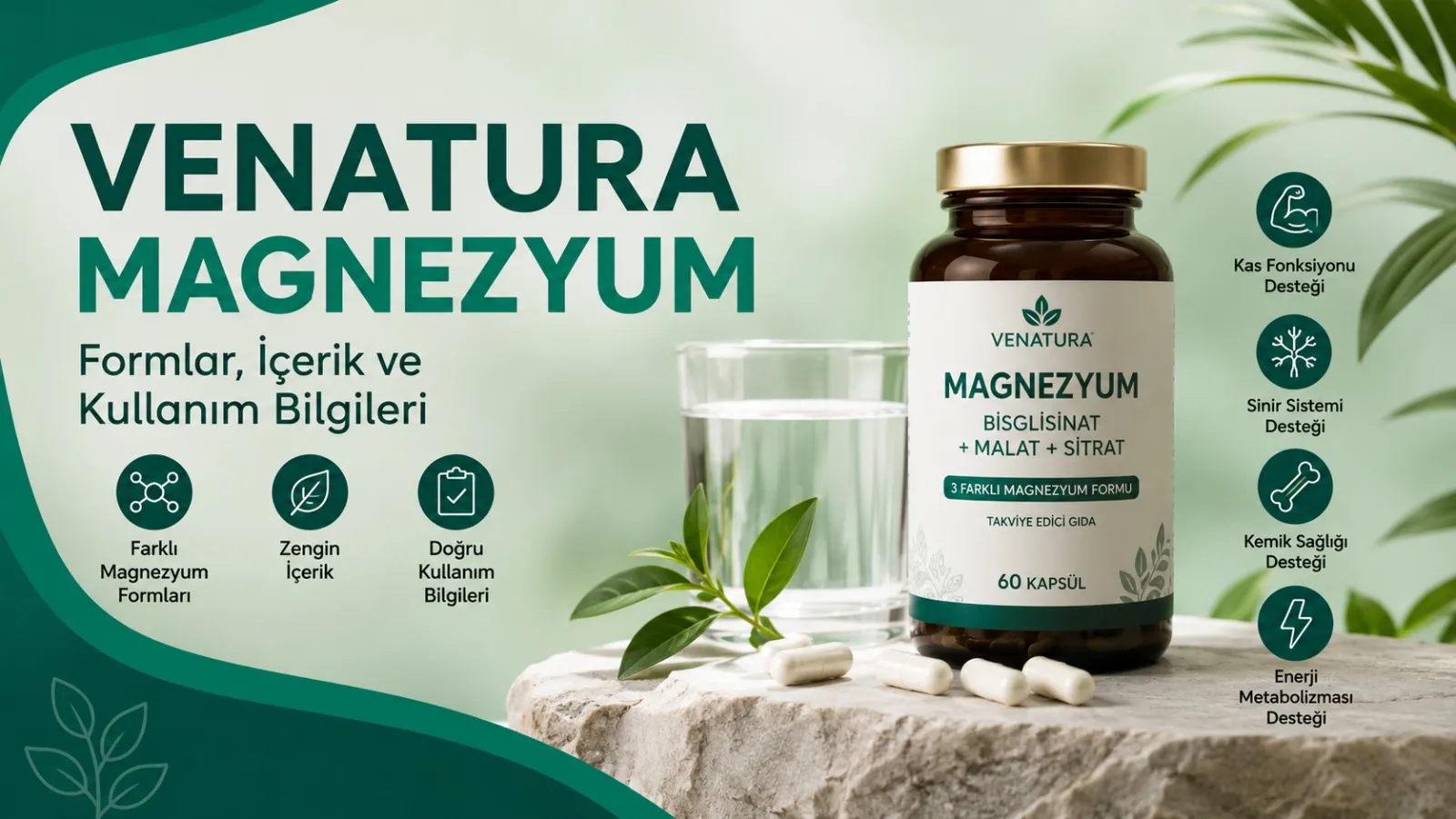 Venatura Magnezyum: Formlar, İçerik ve Kullanım Bilgileri